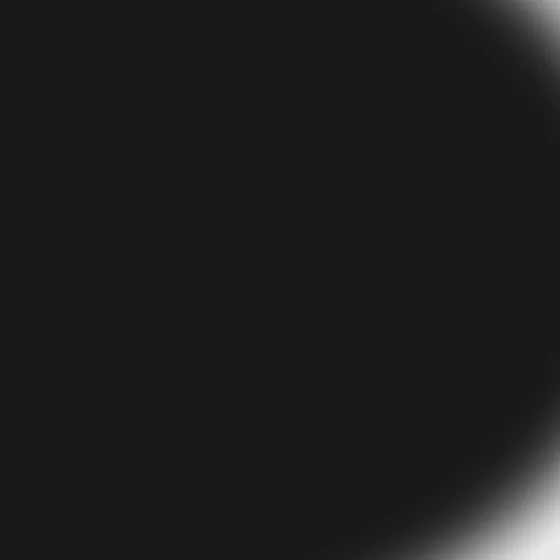 Surface detail 2 of Graphite Expanse No. 11, monochrome field texture in ink black on white
